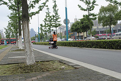 _DSC0354