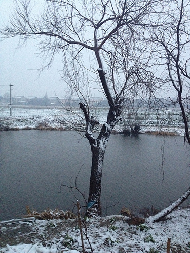 2012年第一场雪，也是最后一场雪