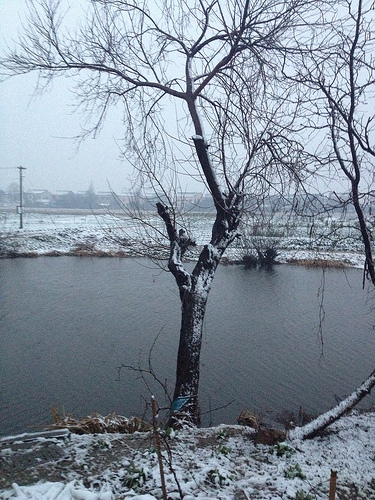 2012年第一场雪，也是最后一场雪